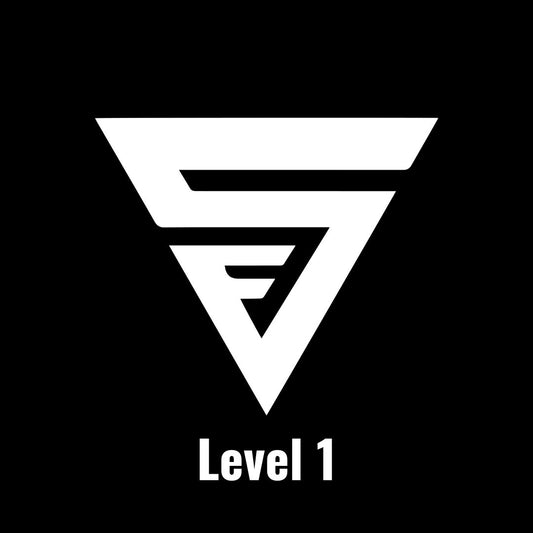 Beginner Muscle Building Program