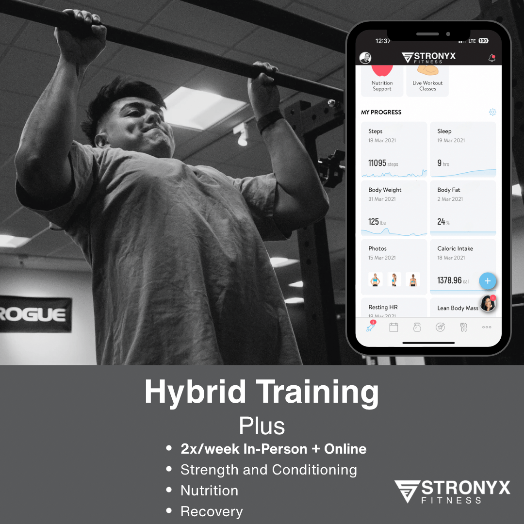 Hybrid Training