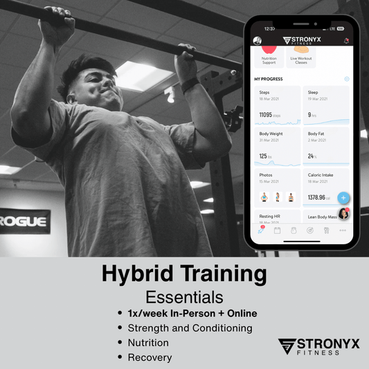 Hybrid Training
